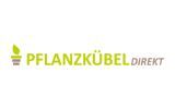 pflanzkuebel-direkt.de pflanzkuebel-direkt.de