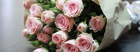 Floraqueen