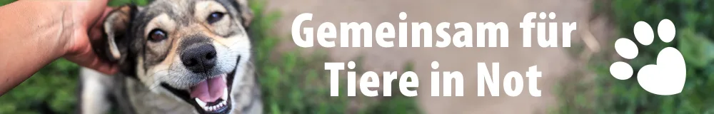 Von Nahrung, über Fellpflege, bis zu Käfigen und Aquarien sowie Spielzeuge finden du im Sortiment von zooplus alles für dein Tier und sparst bei deiner Bestellung mit Gutscheincode.