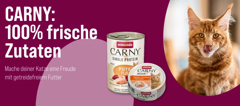 Sparen Sie bei der Bestellung im Onlineshop von ZooRoyal mit Gutscheincodes