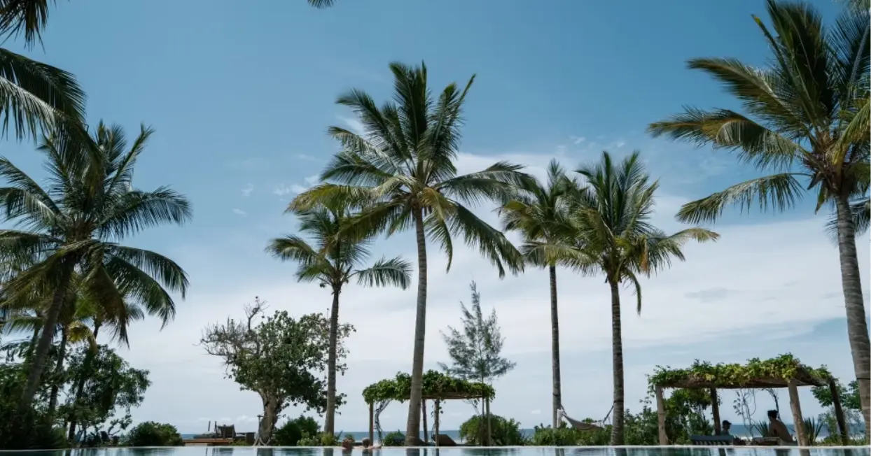 Jetzt Gutscheine und Rabatte für Expedia nutzen, um deinen Traumurlaub zu buchen!
