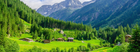 Dein Sommer im Zillertal / Österreich: Aktiv- und Wellnesshotel Kohlerhof **** inkl. Halbpension Plus und Wellnessgutschein ab 259 €