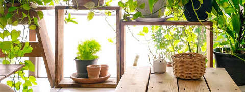 POCO - 23% Rabatt auf Möbel & Gartenmöbel¹