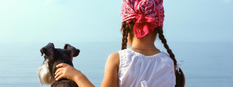 Camping mit Hund in Kroatien: Camping Omisalj, direkt am Meer inkl. Endreinigung ab 189 €