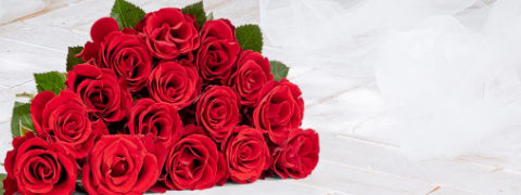 Tag der Rose Gutschein: 12% Rabatt auf die Königin der Blumen