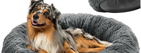 Tierbedarf bis zu 42% günstiger kaufen