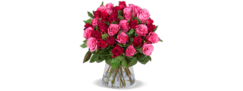Blume Ideal Deal: 44 Romantische Rosen mit 55% Ermäßigung