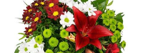 15% Blume Ideal Rabattcode sichern 15% Blume Ideal Rabattcode sichern