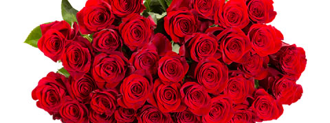 Rabatt auf 44 Rosen "ClassicRed" bei Blume Ideal: Spare bis zu 43%