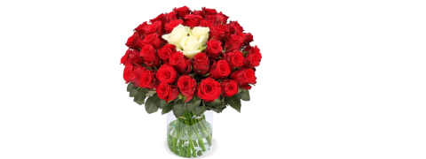 Blume Ideal Deal: 50 Sweetheart Rosen mit 50% Preisnachlass
