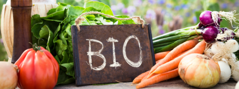 Erhalte Bio-Produkte mit bis zu 71% Rabatt bei Motatos