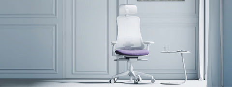 FlexiSpot Rabatt: 20 € sparen auf ergonomischen Bürostuhl Sheer