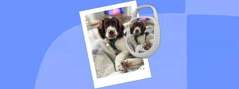 25% JBL Gutscheincode auf individuell gestaltete Artikel