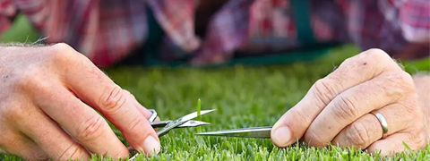 Verschenke Rasendoktor Gutscheine im Wert von 100€