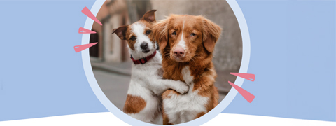 10€ Pets Deli Gutschein sichern durch Freunde-werben-Aktion