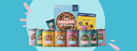 Sichere dir bei Pets Deli bis zu 38% Rabatt auf Probierpakete für Hunde