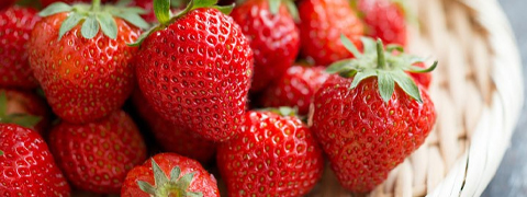 Sichere dir 18% Ermäßigung auf Obstpflanzen | Ahrens und Sieberz Angebote