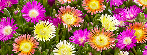 Jetzt 10€ Rabatt auf Bestellungen ab 99€ mit dem BALDUR Gutschein