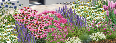 MEIN SCHÖNER GARTEN Shop: Spare bis zu 20% auf Angebote