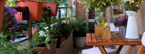 Erhalte 15% Rabatt auf Garten- und Balkonartikel bei BAUR