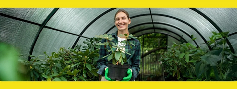 10% Rabatt auf Gartenartikel mit dem eBay Gutscheincode sichern