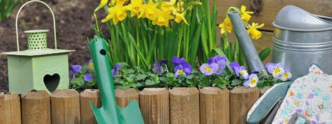 Frühlingsangebote: Spare bis zu 42% mit dem hagebau Gutschein