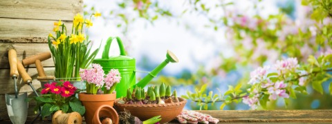 Norma24 Rabatte: 70% sparen beim „Frühling im Garten“ Ausverkauf