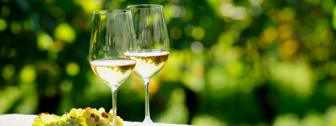 Weinfreunde Gutschein: Bis zu 30% Rabatt auf Frühlingsweine sichern