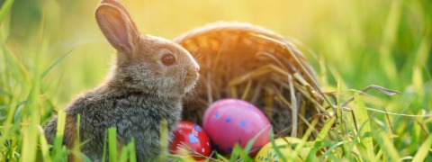 30€ Gutschein für die Filiale & kostenfreier Versand mit Netto Rabattcode