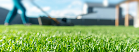 14% Preisnachlass auf ausgewählte Saison-Highlights bei Rasendoktor