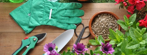 15% sparen auf Gartenbedarf mit dem Netto Gutschein