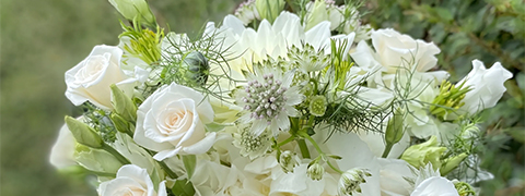 22% Rabatt sichern mit den aktuellen Edelweiss Blumenversand Angeboten