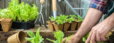 20% Rabatt auf Gartenartikel mit dem aktuellen toom Gutschein sichern